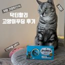 고양이간식 닥터할리 고양이푸딩 급여 후기