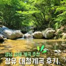 [김해 계곡] 아이랑 놀기 좋았던 장유 대청 계곡 찐 후기 (주차 및 물놀이 포인트 팁)