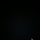 자양보오토캠핑장 이미지