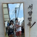 가인동물병원 | 대구 삼덕동 맛집 서양면옥 나의 최애 파스타 양식집