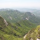 협동조합살길 이미지