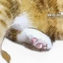 리담헤어 이미지