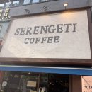 세렝게티 | 마곡 감성 카페 추천, 세렝게티커피 방문 후기 ☕🌿