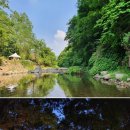 힐링캠프펜션C | 내돈내산/ 캠핑장 리뷰(단양 포레스트 힐링캠프)