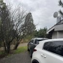 솔마루펜션 | 서산 5인 6인 숙소 솔마루 파인팜하우스 독채 펜션