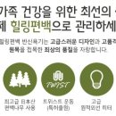 편백힐링