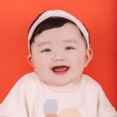 종려나무사진관