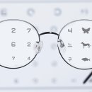 수술 없이 '시력' 되찾는다?… "눈에 마취제 넣자, 뇌 시각 기능 회복" 이미지