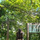 예수원 | 삼척 덕항산 예수원 최단 등산코스 주차와 100대 명산 인증 찐후기 가볼만한곳으로는 글쎄