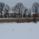 춘분의 길목에서 눈폭풍이 몰아칩니다. 꽃샘 노리스터 (Nor'easter) 입니다. 이미지