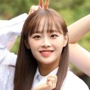 머리와사람들 이미지