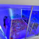 전남고흥녹동바다노을보라펜션 이미지