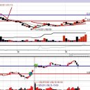 조광코리아 이미지