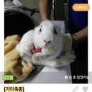 조재진동물병원 이미지