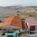 ㈜신안천사김 이미지