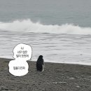 하루하루30족발