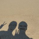영진한약도매업사 | 여행🏖️ 여름휴가 강릉짬뽕순두부 동화가든 본점 후기 경포해변 강문해변 강릉문화유산야행 축제 강릉...