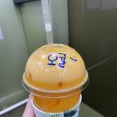내돈내산 약 4년가량 먹고 즐겼던 구 직장인 가산 맛집모음-1