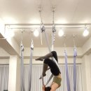 요가초급반 이미지