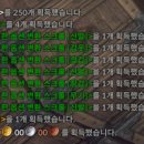 쌉돼지 이미지