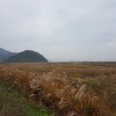 구정리 이미지