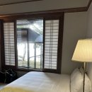 페리카나원북점 이미지