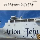고흥사랑약국 | 제주항 차량선적 배편 고흥녹동항 아리온 제주 후기