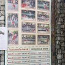 바위농장 | 관광지) 호랑이와 사진찍고 아찔한 악어쇼가 펼쳐지는 파타야 동물원추천 '백만년 바위공원과 악어농장'