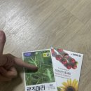 애린미용실