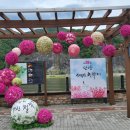 단양토종마늘순대 이미지