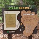 계족산 황톳길 이미지