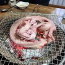 강원곰장어