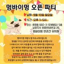 멍바이멍 반려견 유치원 이미지