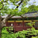 경북 | 고운사(孤雲寺)