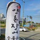 논산 현지인들이 찾는 맛집 ; 진짜 부드러운 양촌장어 숯불구이