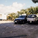 고릴라 뷔페 이미지