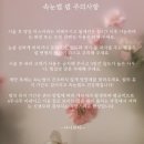 나니속눈썹