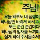 샬롬 Daum카페