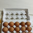 크로바양계식품 이미지