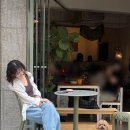 멈머 | 강아지 이동가방 멈머 윈디백