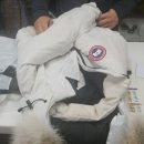 디앤비세탁마트 이미지