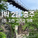 [충주여행 1] 애견동반 가족여행 코스 추천(수주팔봉, 목계나루 유채꽃밭)