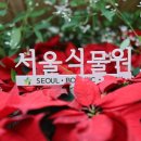 7월6일(토)1시 비오는 날 서울식물원관람~호수공원~한강변 함께 걸어요~^^ 이미지