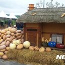 코스모스슈퍼 이미지