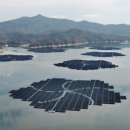 태양약품 이미지