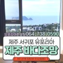 유포리아컨설팅