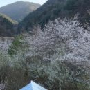 원대교 - 가평군 | 원대교