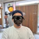 부산 전포동 동백이발관 아프로펌 드레드락 헤어