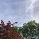 덕유대7영지매점 이미지