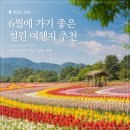 고석정광장 | "주차 걱정 없이 꽃구경 가려면?" 강원도 철원 6월 여행지 추천 고석정 주상절리길 휴무일 정보 총정리
